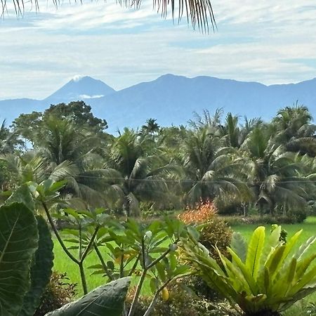 Sumatra Expedition Lodge ブキットラワン エクステリア 写真