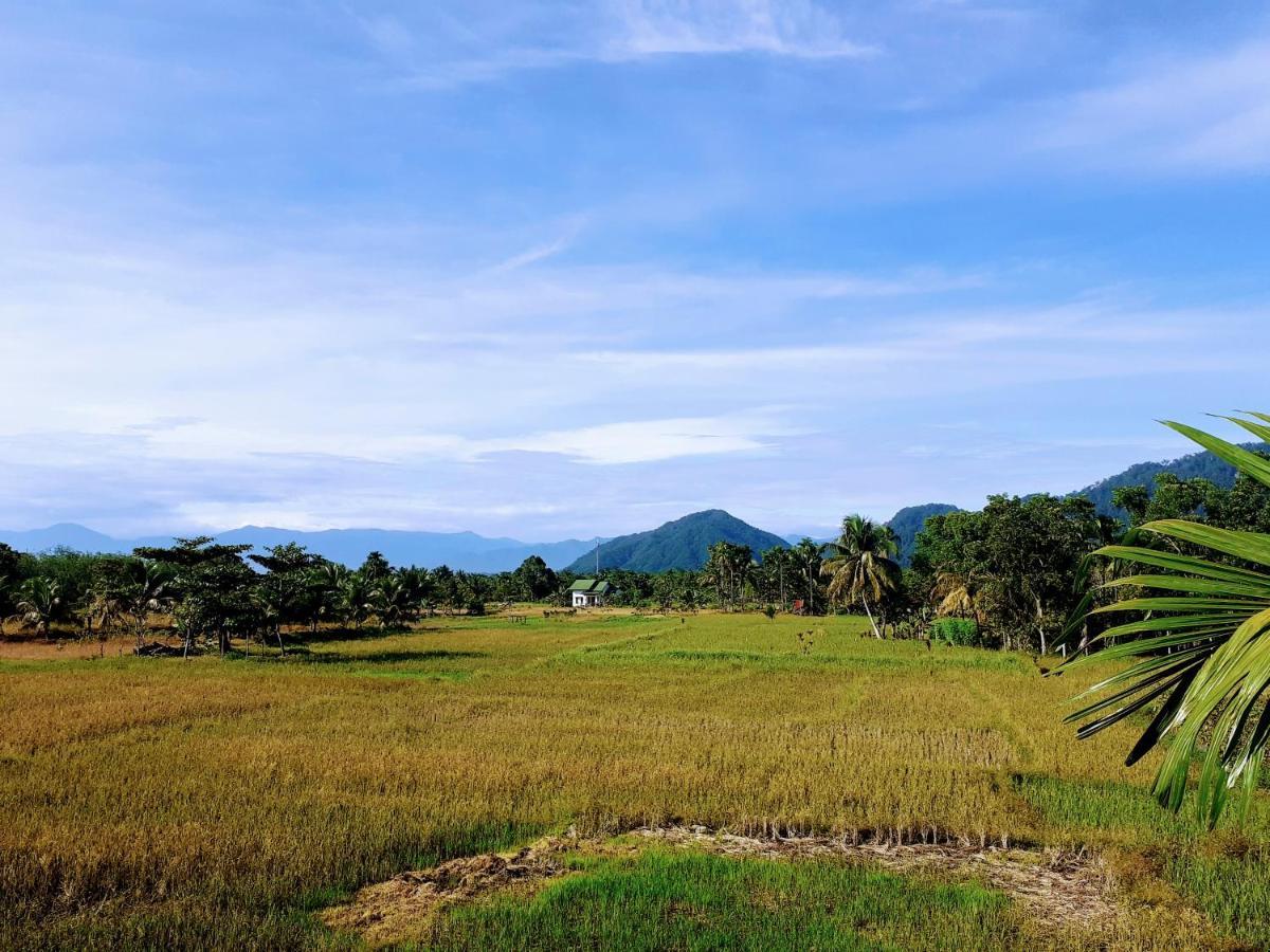 Sumatra Expedition Lodge ブキットラワン エクステリア 写真