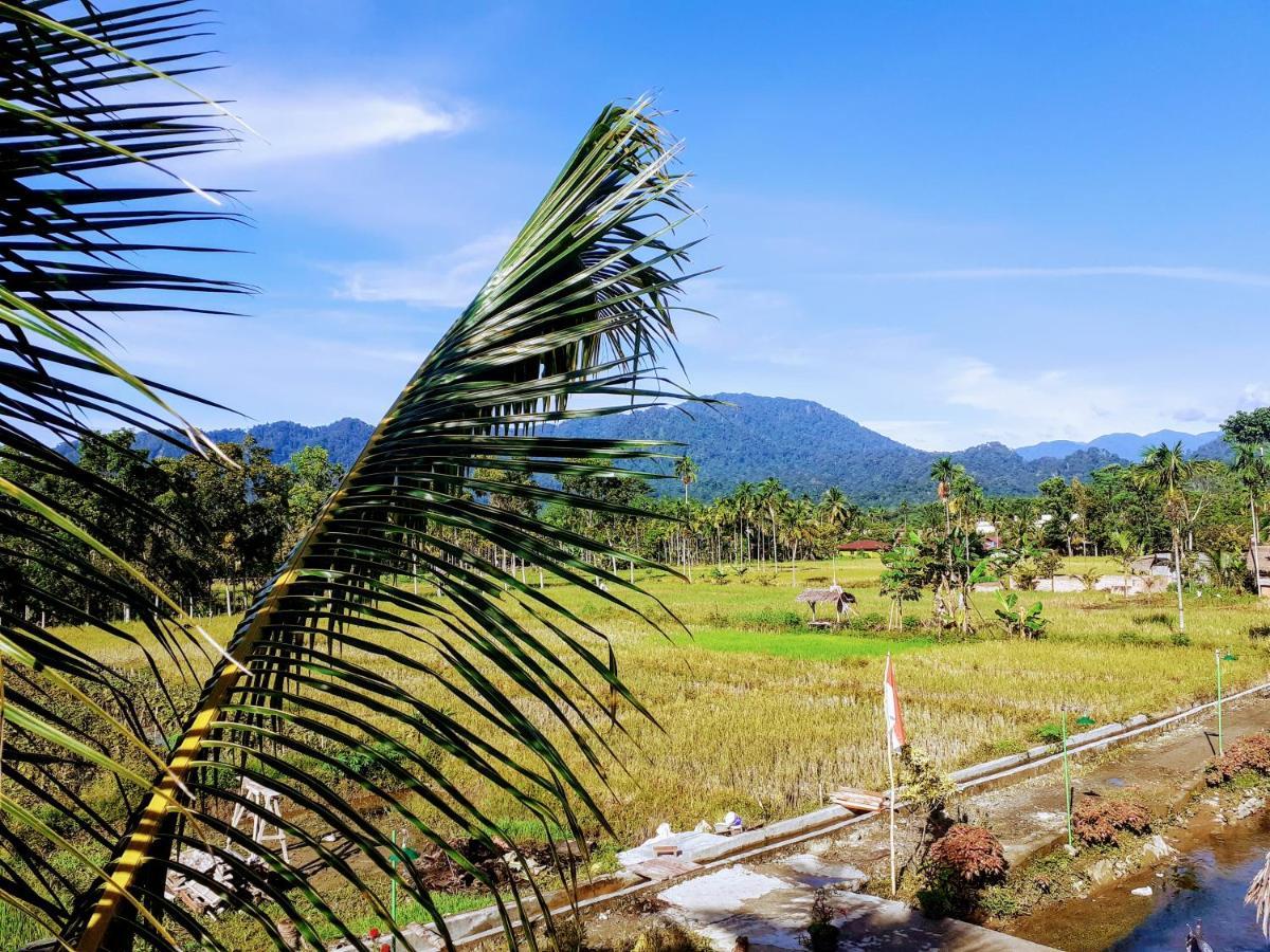 Sumatra Expedition Lodge ブキットラワン エクステリア 写真