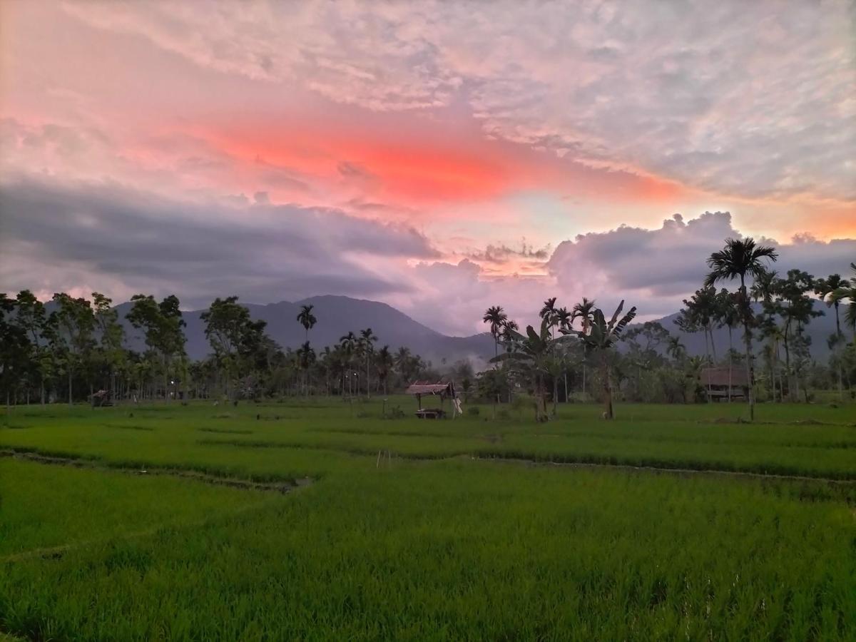 Sumatra Expedition Lodge ブキットラワン エクステリア 写真