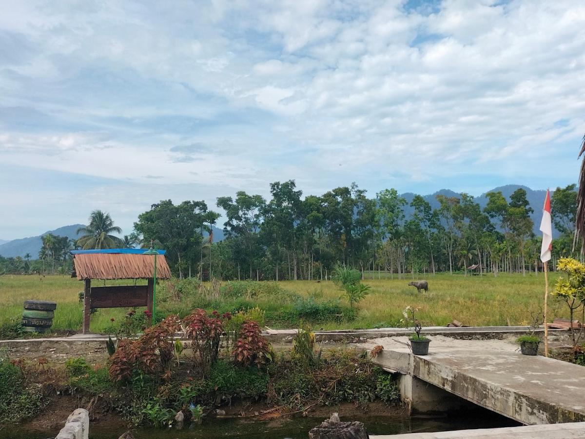 Sumatra Expedition Lodge ブキットラワン エクステリア 写真