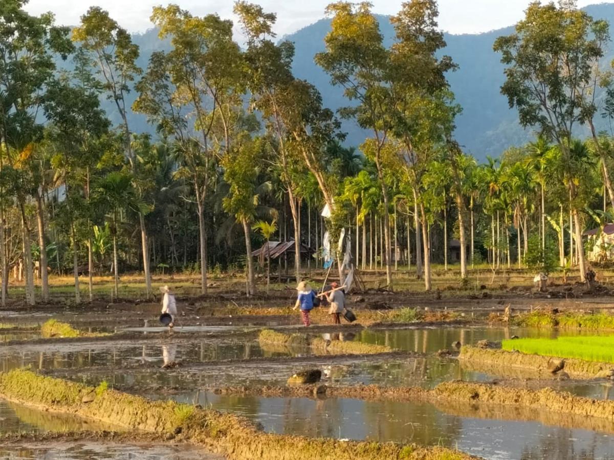 Sumatra Expedition Lodge ブキットラワン エクステリア 写真
