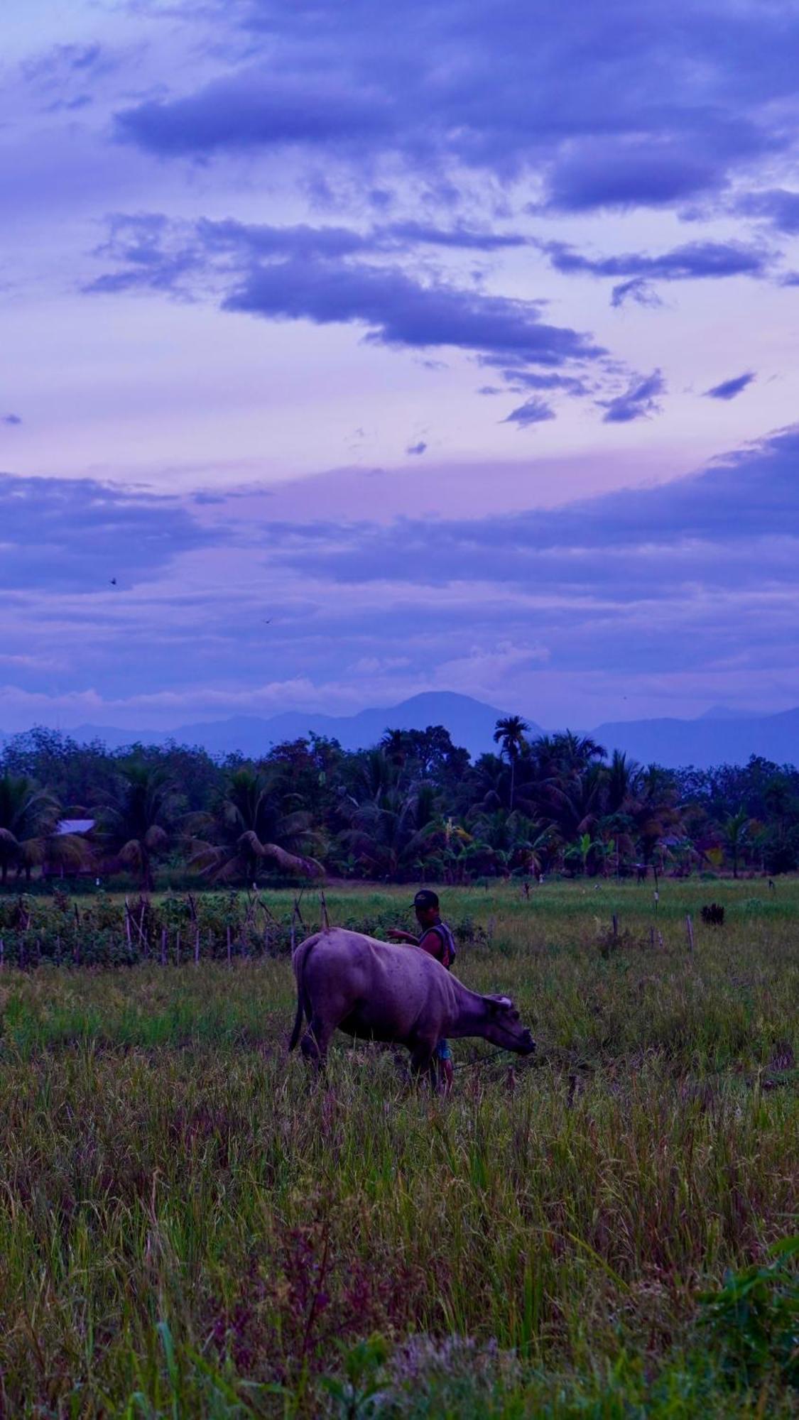 Sumatra Expedition Lodge ブキットラワン エクステリア 写真