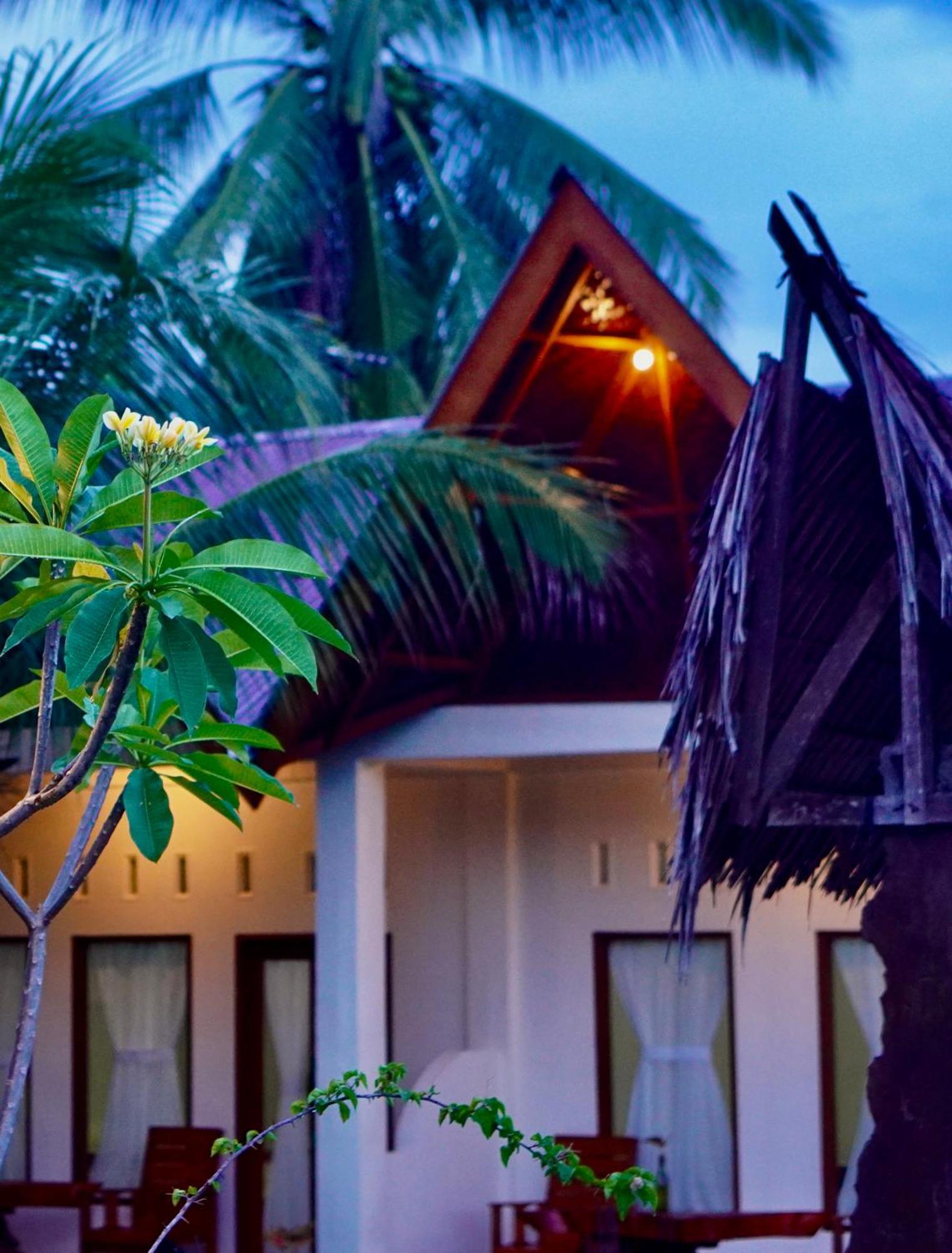 Sumatra Expedition Lodge ブキットラワン エクステリア 写真