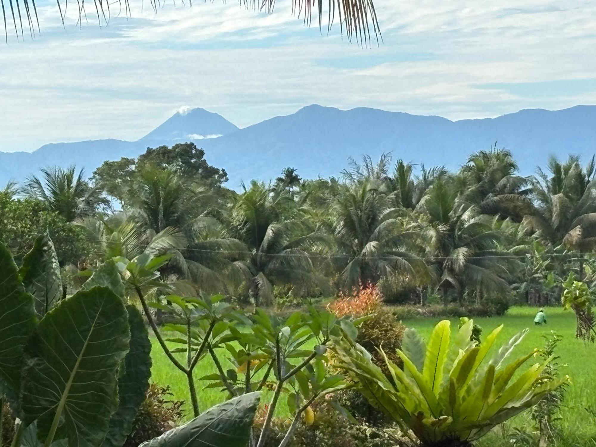 Sumatra Expedition Lodge ブキットラワン エクステリア 写真