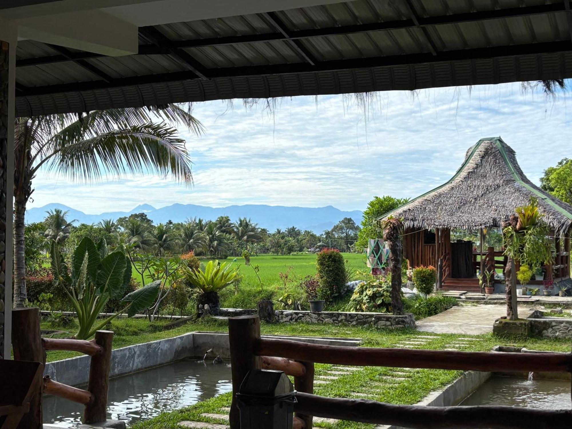 Sumatra Expedition Lodge ブキットラワン エクステリア 写真